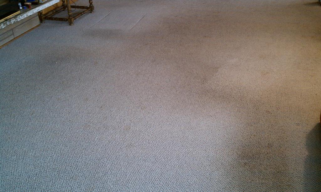REDMOND CARPET CLEANING Redmond WA 98052 4258023103